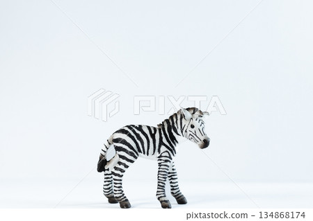 zebra zebra 134868174
