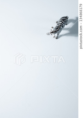 zebra zebra 134868179
