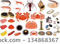海鮮插圖和圖標 ③（螃蟹、蝦、扇貝、牡蠣、海膽、鮭魚籽） 134868367