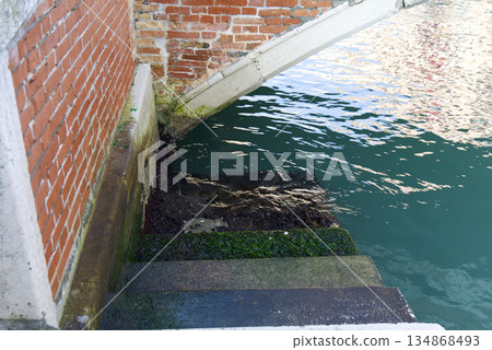 Stairs leading down to the Venetian canal Stairs leading down to the Venetian canal 134868493