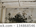 Moldy walls of an old house 134868546
