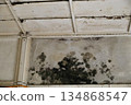 Moldy walls of an old house 134868547
