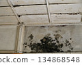 Moldy walls of an old house 134868548