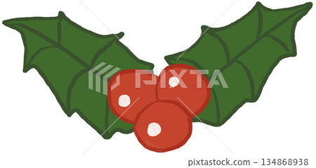 Holly Christmas Pattern Holly Christmas Pattern 134868938