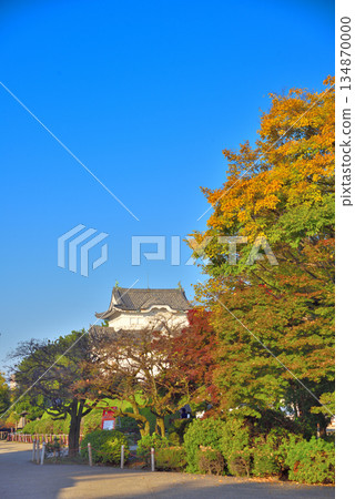 Aichi Prefecture: The southeast corner tower of Nagoya Castle in autumn, dyed with autumn leaves Aichi Prefecture: The southeast corner tower of Nagoya Castle in autumn, dyed with autumn leaves 134870000