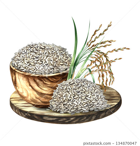 Rice in wooden dishes. Hand-drawn watercolor illustration. Rice grains. Used for menu design, recipes, and cookbooks. Used for banners, flyers, packaging, labels, and more. 134870047