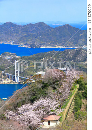 [Ehime Prefecture] Yumeshima Kaido and Sekizensan Three Thousand Cherry Trees (Iwaki Bridge, Ikina Bridge and Yuge Bridge) 134870099