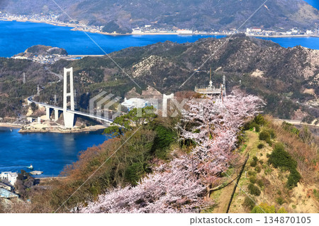 [Ehime Prefecture] Yumeshima Kaido and Sekizensan Three Thousand Cherry Trees (Iwaki Bridge, Ikina Bridge and Yuge Bridge) 134870105