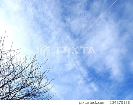 新年夜的天空 134870128