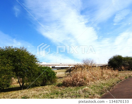 New Year's Eve sky 134870133