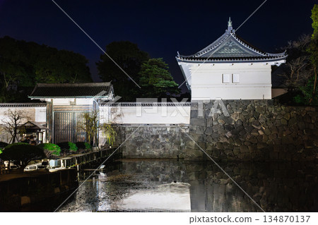 Imperial Palace Otemon Gate 2025/26 New Year's illuminations 134870137