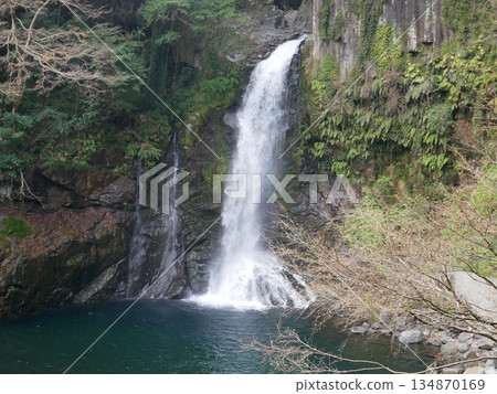 河津七瀑布（靜岡縣河津町） 134870169