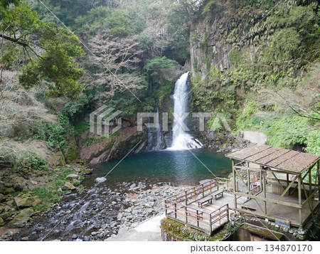 河津七瀑布（靜岡縣河津町） 134870170