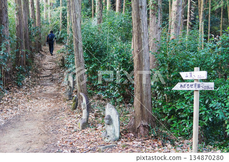 Saitama Prefecture: Hiking trails and signs on Mount Ontake lined with stone Buddha statues / Kamikawa Town Saitama Prefecture: Hiking trails and signs on Mount Ontake lined with stone Buddha statues / Kamikawa Town 134870280