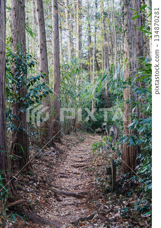 埼玉縣:禦嶽山上林立著石佛像的登山步道與路標 / 上川町 埼玉縣:禦嶽山上林立著石佛像的登山步道與路標 / 上川町 134870281
