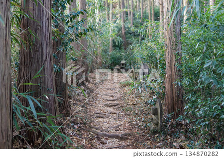 埼玉縣:禦嶽山/上川町的健行步道和遍佈石佛像的神社 埼玉縣:禦嶽山/上川町的健行步道和遍佈石佛像的神社 134870282