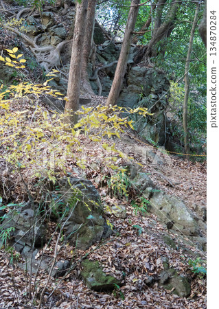 埼玉縣：兼佐那禦岳城遺址/通往山頂的岩石區/上川町 134870284