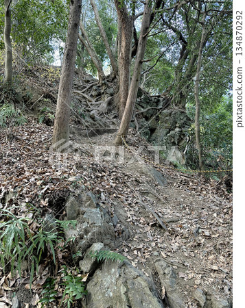 埼玉縣：前往金佐奈神社內殿的路線 [禦嶽山] 上川町 134870292