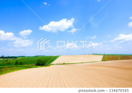 春天，從北海道美瑛的山頂俯瞰，景色壯麗。 134870585