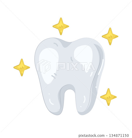 Illustration of tooth Illustration of tooth 134871150
