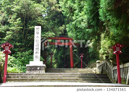 箱根町：第三座鳥居前，通往箱根神社的路上。 134871561