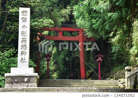 Hakone Town: In front of the third torii gate and the approach to Hakone Shrine 134871562