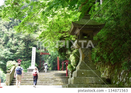 箱根町：在箱根神社第三座鳥居前，有朝聖之路和朝拜者。 134871563