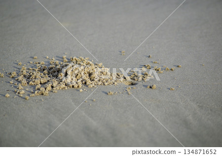Close sand detail showing a small mound of debris on smooth grey beach surface. Close sand detail showing a small mound of debris on smooth grey beach surface. 134871652