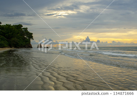 Sandy beach leading to distant water with trees on one side and sunrise colors ahead, Kuala Penyu, Sabah, Malaysia. 134871666