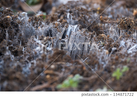Close up of frost columns 134871722