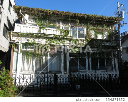 Former Muto Munemitsu residence in Negishi, Taito Ward 134871852