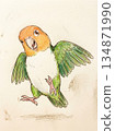 手繪插圖，描繪了一隻歡快跳躍的白腹鸚鵡 134871990