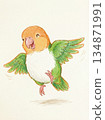 用蠟筆畫的跳躍的白腹鸚鵡 134871991