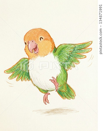 用蠟筆畫的跳躍的白腹鸚鵡 134871991