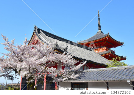 The three-story pagoda of Kiyomizu-dera Temple stands out against the blue spring sky 134872102