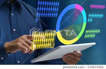 客戶細分分析和圓餅圖。目標市場分析。統計受眾數據分析。 134872568