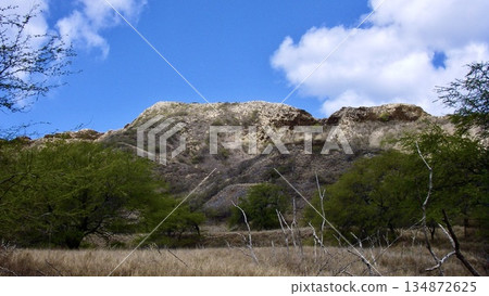 美國夏威夷鑽石山景觀 134872625
