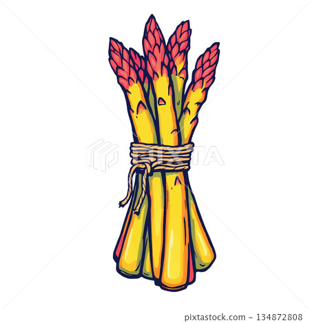 Vsai asparagus spears tied in a fresh vegetable bunch 134872808