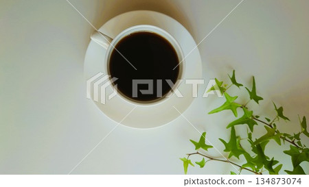Coffee and plants 134873074