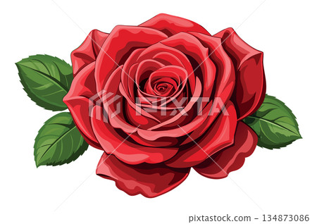 Red rose blooming with green leaves illustration Red rose blooming with green leaves illustration 134873086