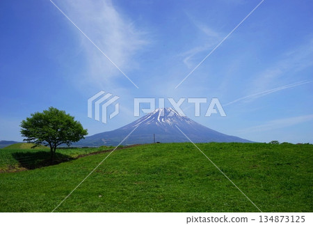 夏日從朝霧高原眺望富士山 五月 富士山 805 翠綠的牧場 夏日從朝霧高原眺望富士山 五月 富士山 805 翠綠的牧場 134873125