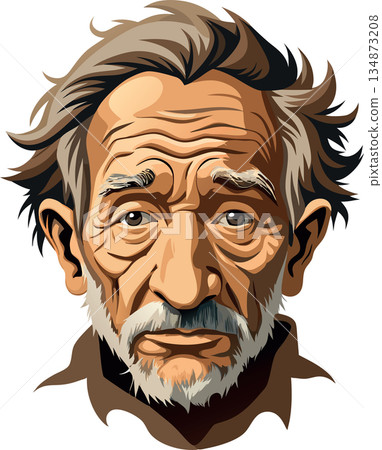 Senior man with white beard and grey hair looking forward 134873208