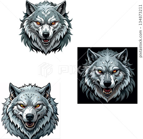 Angry grey wolf head snarling showing teeth Angry grey wolf head snarling showing teeth 134873211