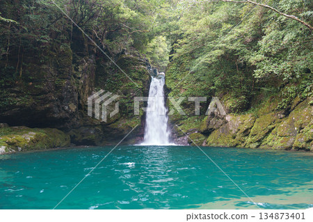 一道美麗的翠綠瀑布 134873401