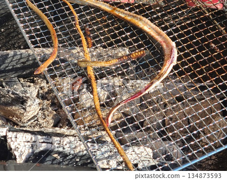 Demonstration and sale of grilled wild eel 134873593