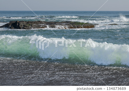 The shore where the waves break 134873689