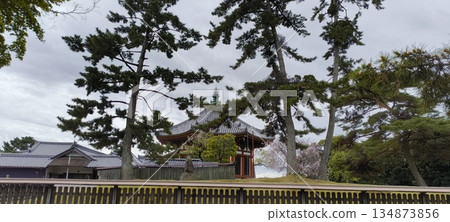 Minami Kodo of Kofuku-ji Minami Kodo of Kofuku-ji 134873856
