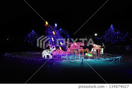 Taku Seibyo illuminations Taku Seibyo illuminations 134874027