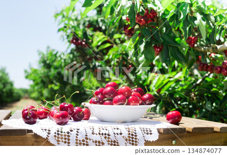 ripe juicy cherry berry in white bowl on lace napkin on table in cherry garden ripe juicy cherry berry in white bowl on lace napkin on table in cherry garden 134874077