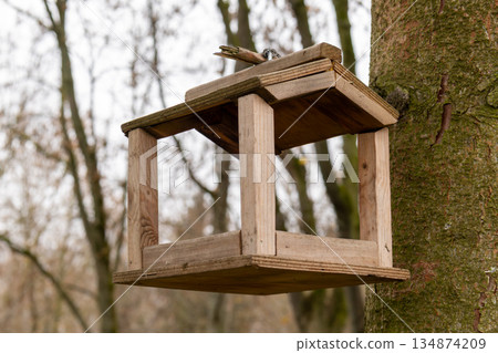 A wooden bird feeder is attached to a tree in the forest with bare branches and a gray sky in the background during autumn 134874209